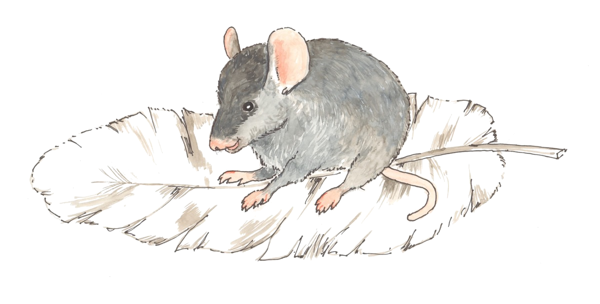Lieselotte Federmaus sitzt auf einer großen weißen Feder